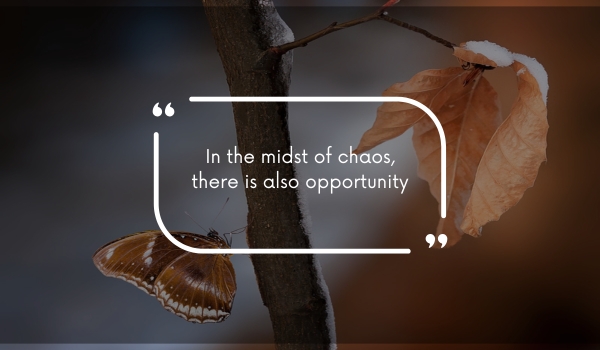 In the midst of chaos, there is also opportunity