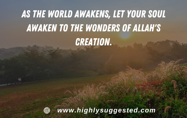 As the world awakens, let your soul awaken to the wonders of Allah's creation