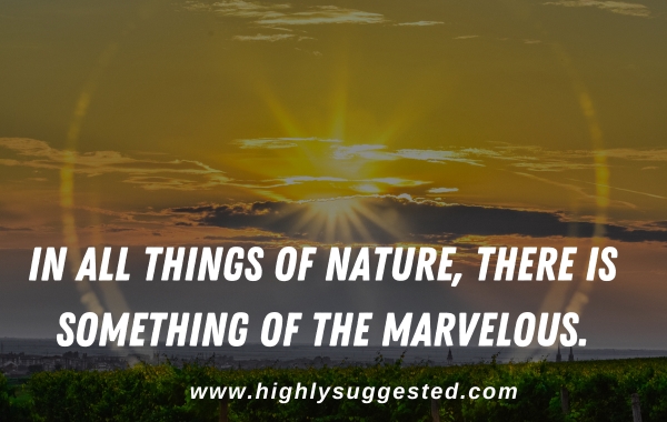 In all things of nature, there is something of the marvelous.