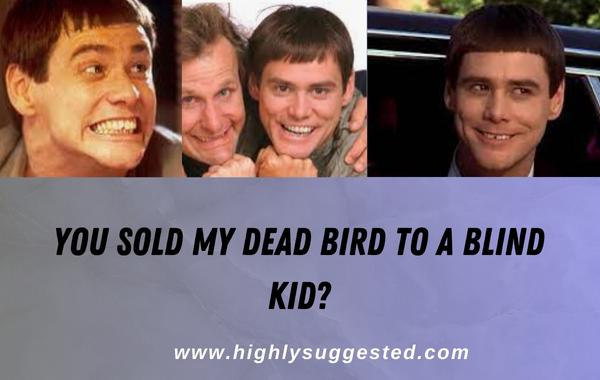 You sold my dead bird to a blind kid?